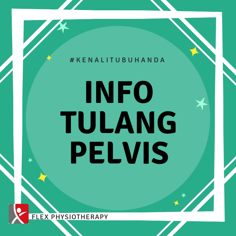 Info Penting Mengenai Tulang Pelvis
